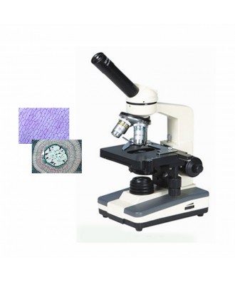 DYS-100單目生物顯微鏡
