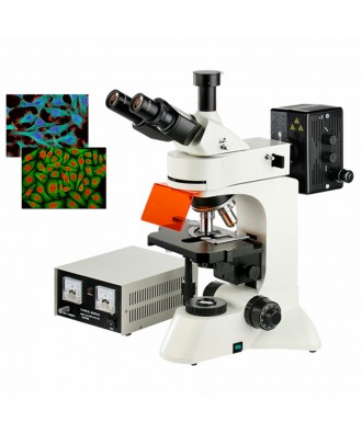 落射熒光顯微鏡DYF-600