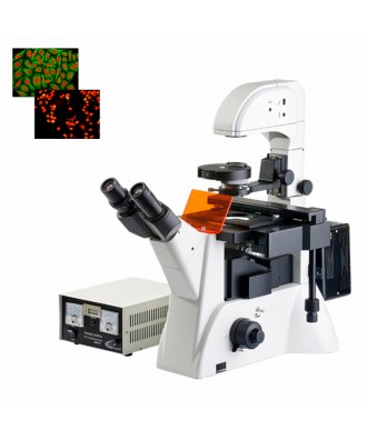 研究級倒置熒光顯微鏡DYF-880