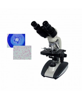 雙目生物顯微鏡DYS-102