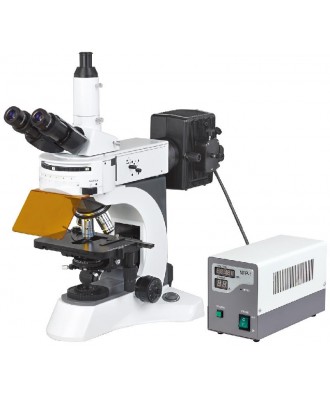 DYF-700科研型熒光顯微鏡
