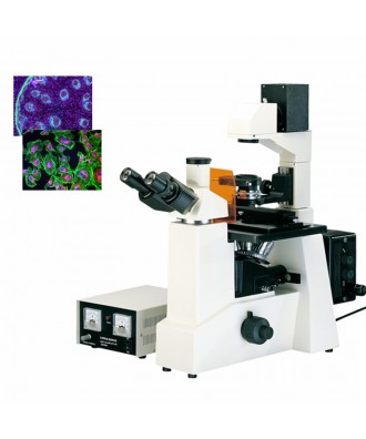 高品質倒置熒光顯微鏡DYF-850