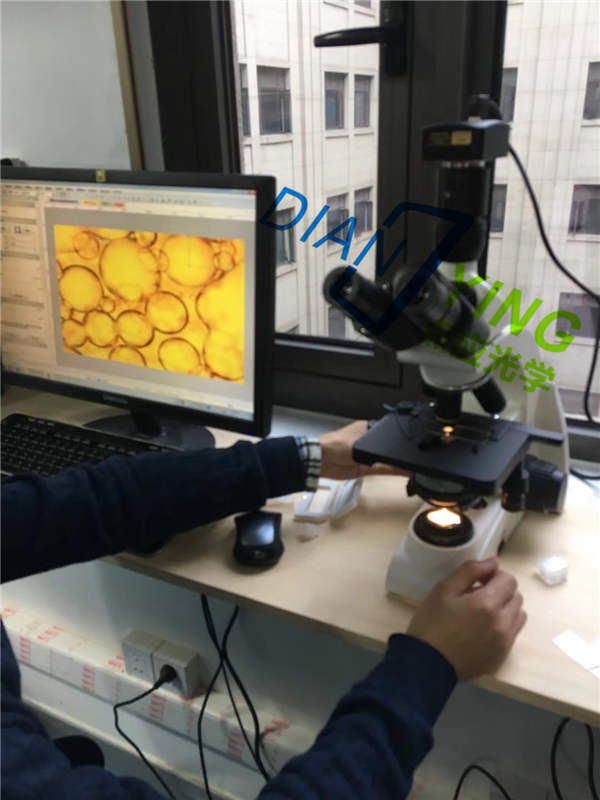 復旦大學研究型生物顯微鏡安裝調試。